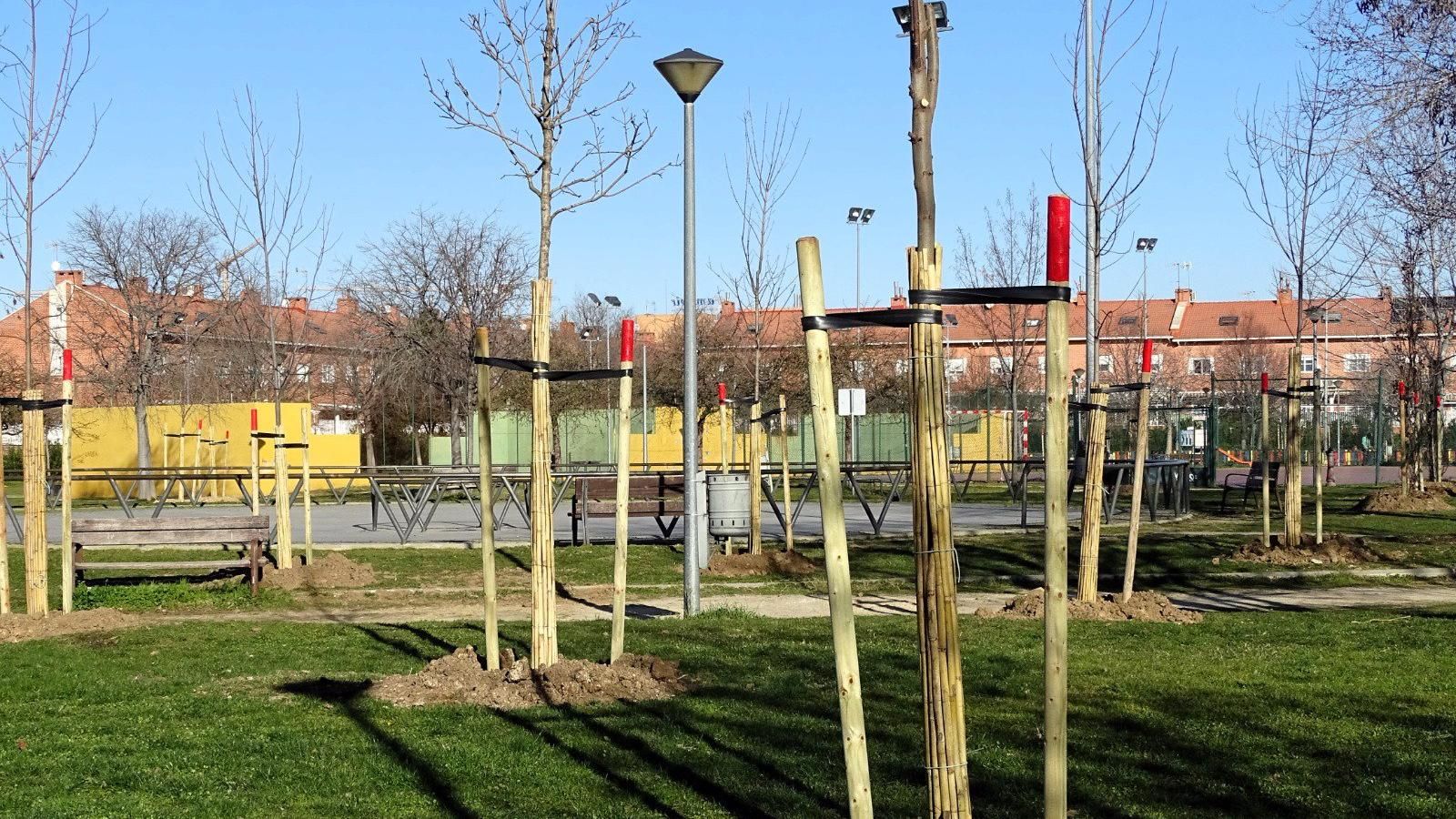 Tres Cantos.- PSOE pide actuaciones para hacer accesibles los parques y afea a PP sus propuestas "descafeinadas"
