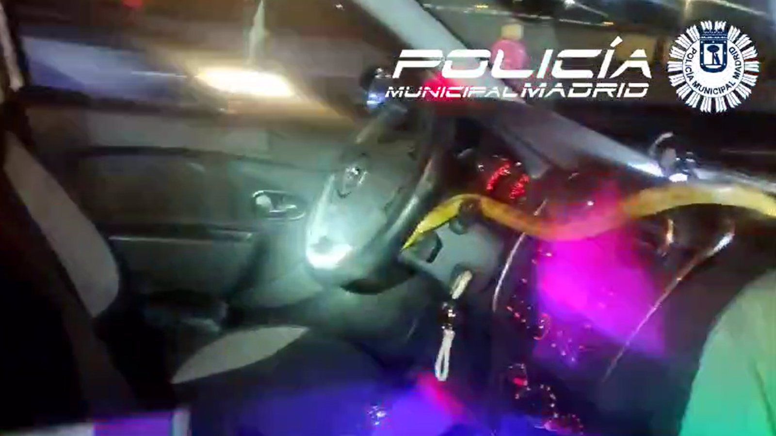 Una gran serpiente de maíz se cuela en un coche y sorprende a la conductora en la A-4