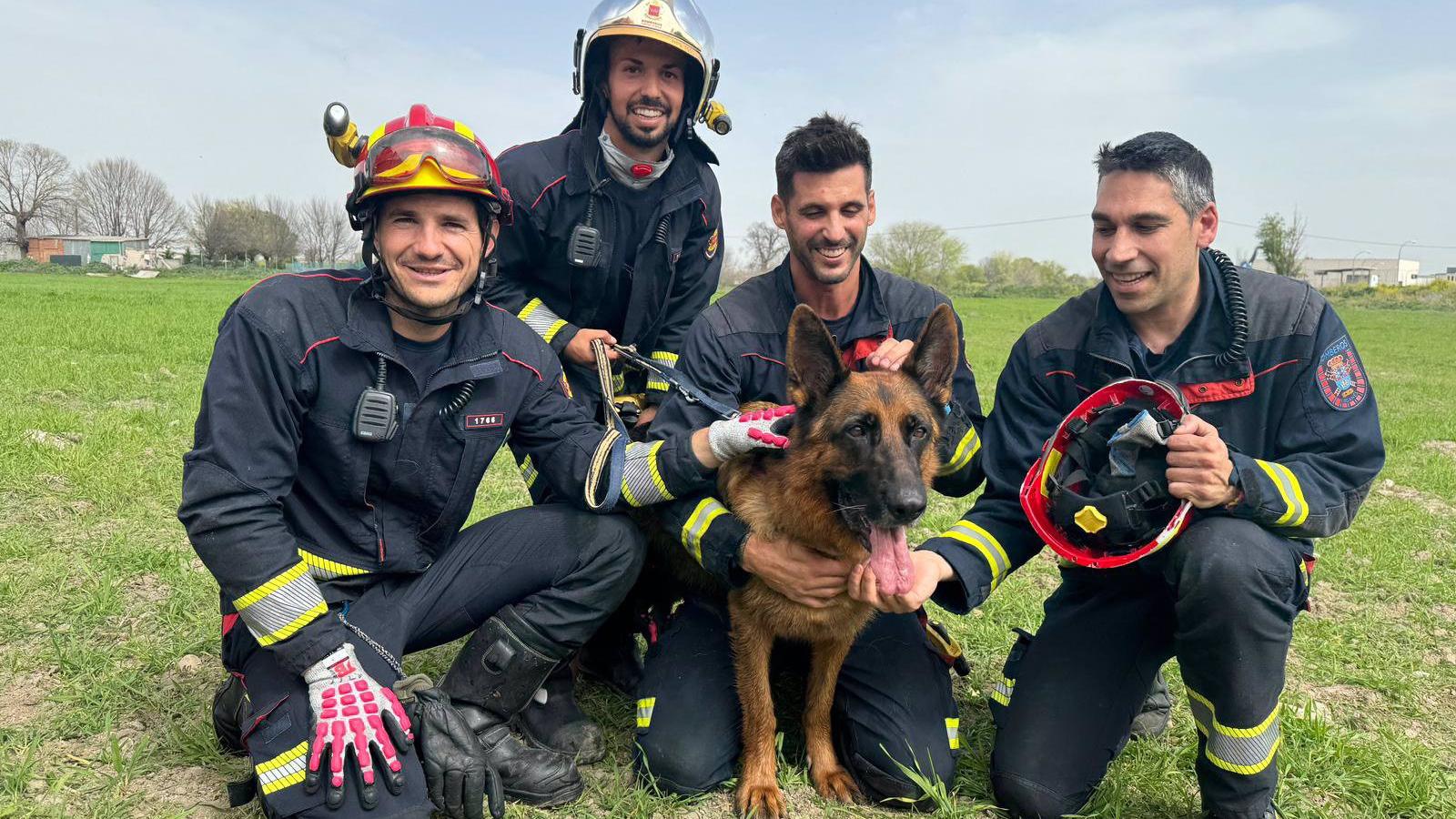 Rescatan a un perro que cayó a un pozo de cuatro metros de hondo en Leganés