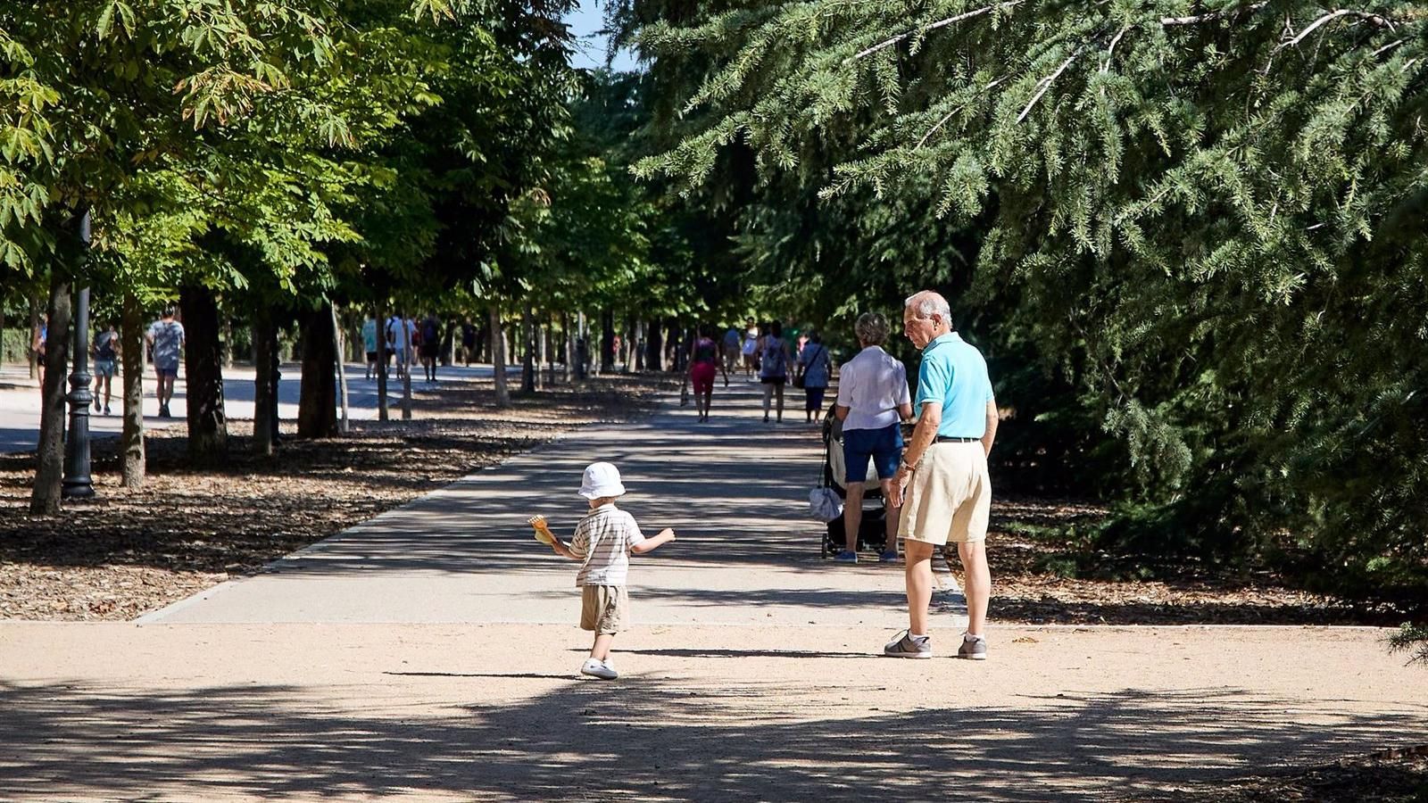 La capital renueva el contrato de vigilancia de arbolado del Retiro y aumenta el presupuesto para alcanzar más ejemplares