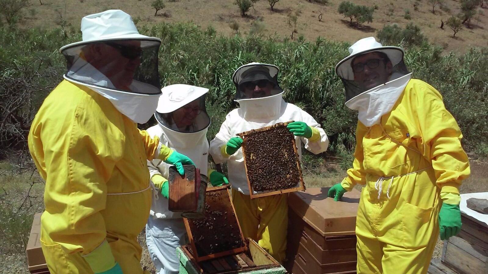 Apicultores madrileños aplauden que Europa impulse etiquetas más claras pero echan en falta referencia a pasteurización