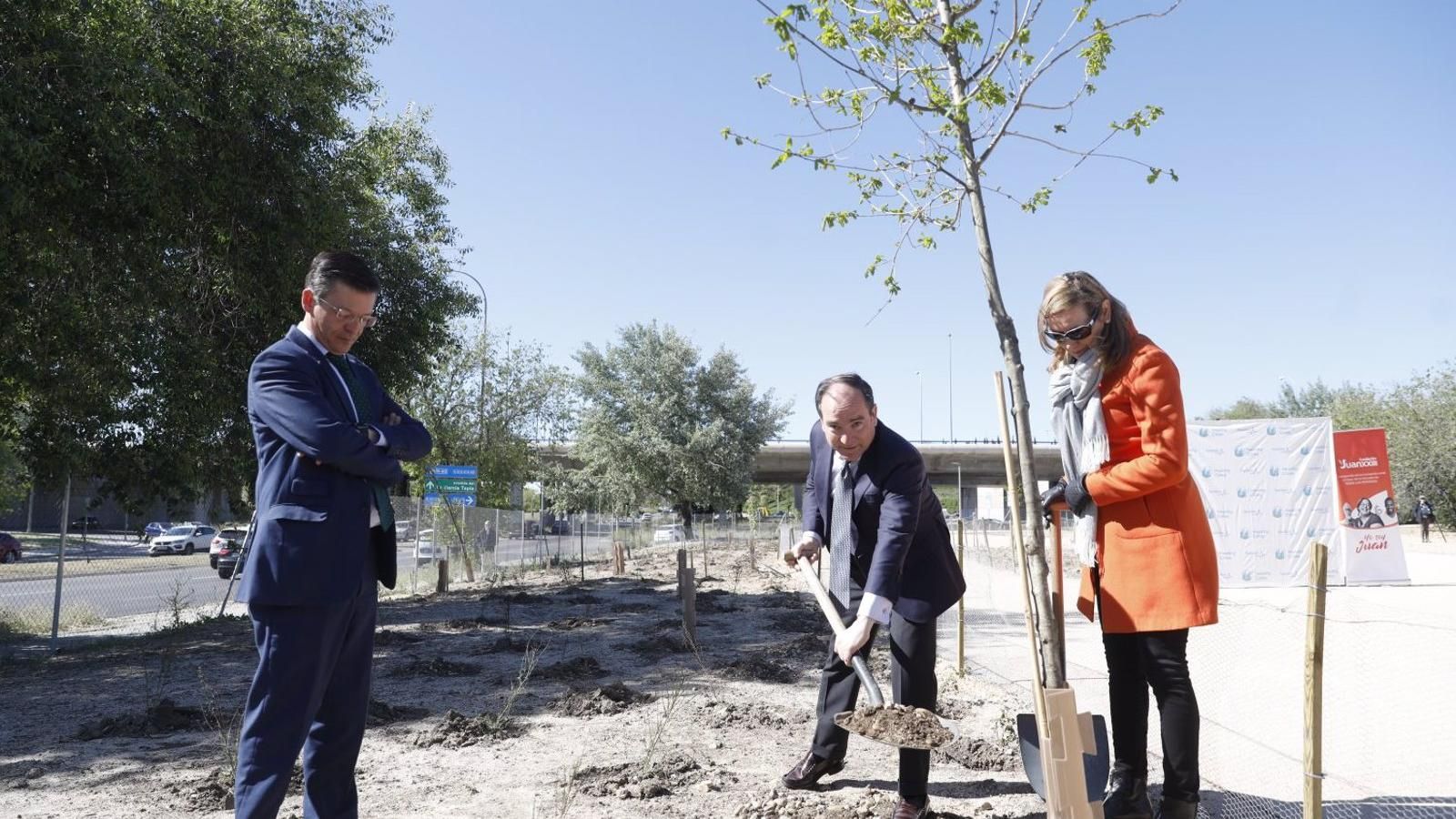 El Bosque Metropolitano crece con la plantación de 1.500 árboles en Moratalaz