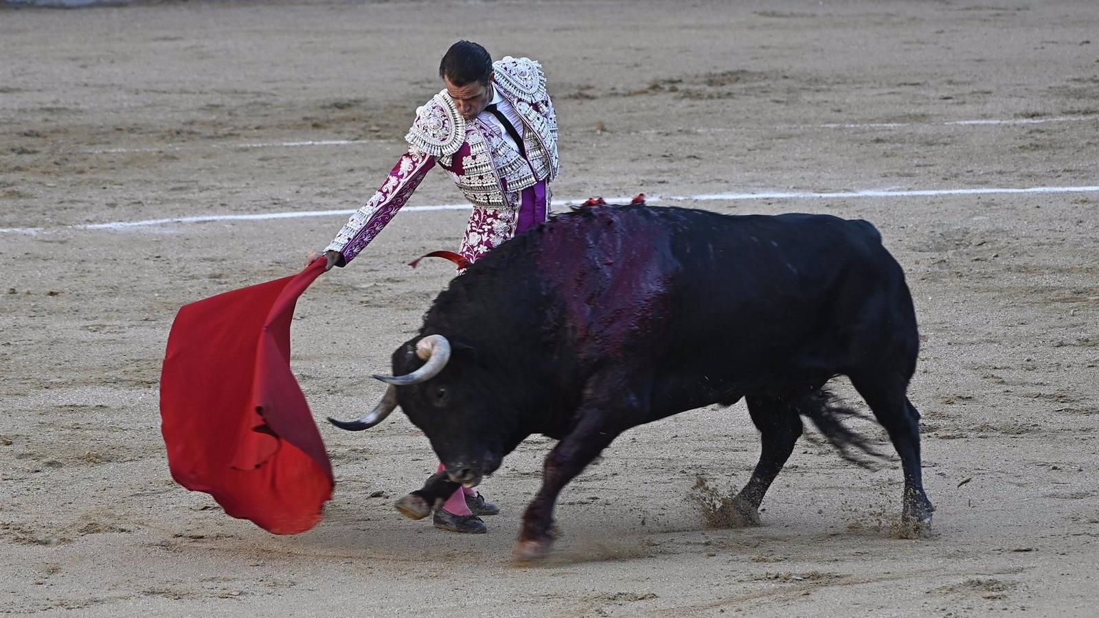 Un decreto regional podría ampliar el catálogo de espectáculos taurinos e incluir corridas sin la muerte del animal