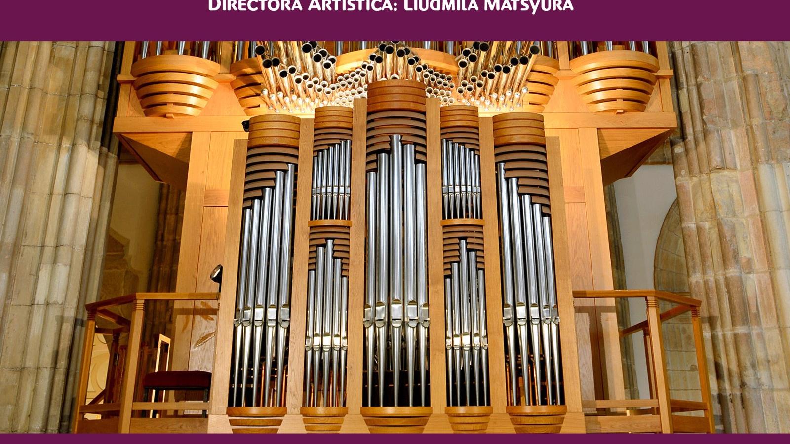 Alcalá de Henares revive su Festival Internacional de Órgano en la Catedral Magistral