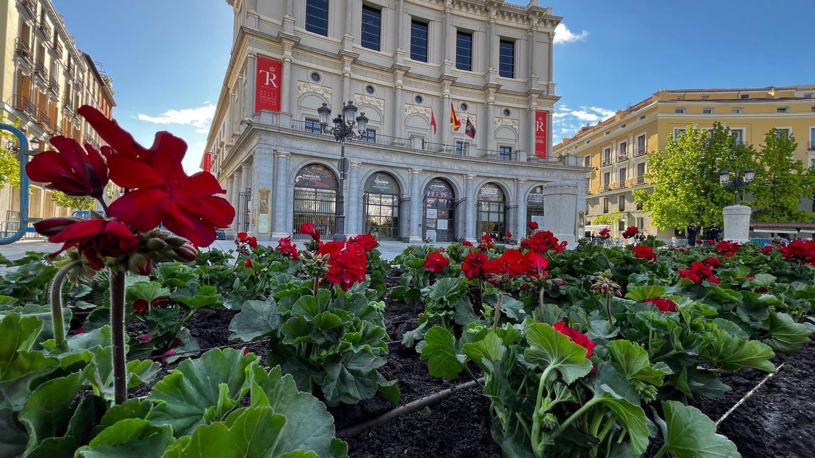 Madrid se viste de flores con más de medio millón de geranios, petunias, begonias y claveles