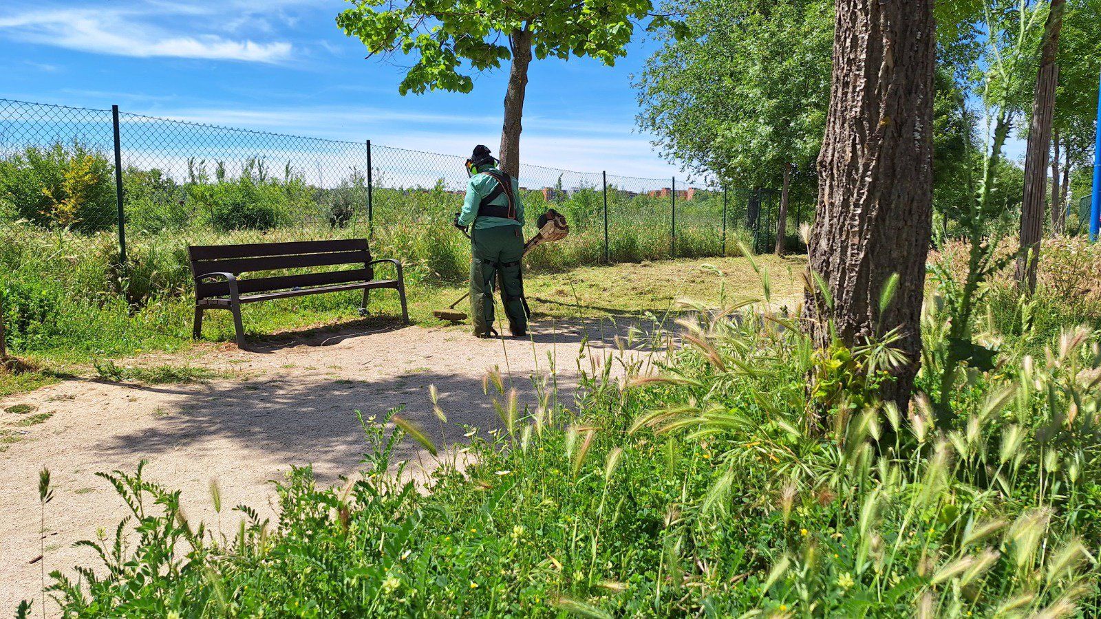Alcalá de Henares inicia la limpieza de parcelas y alcorques del municipio
