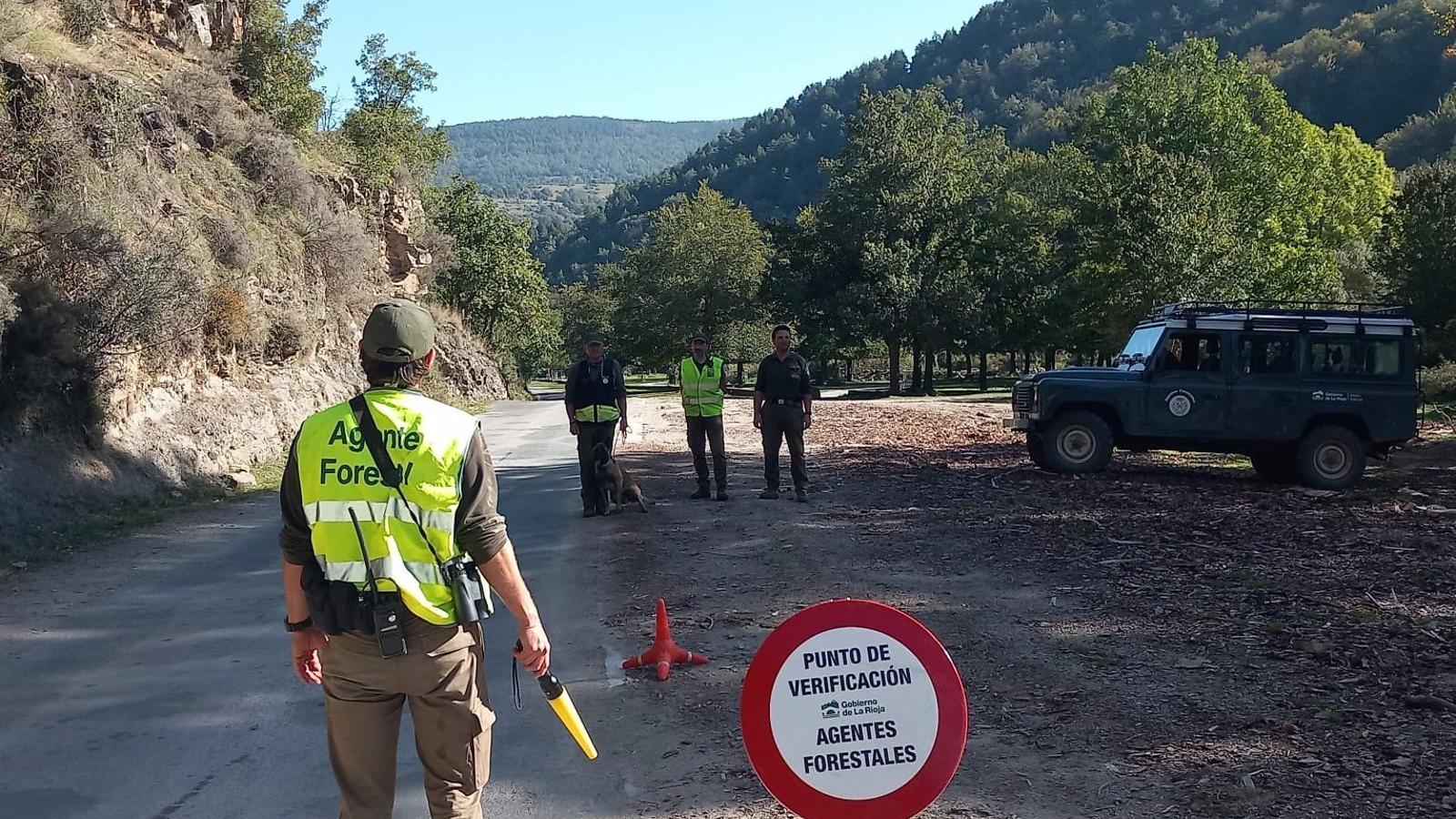 Un agente forestal atropellado por un motorista en la Sierra de Guadarrama