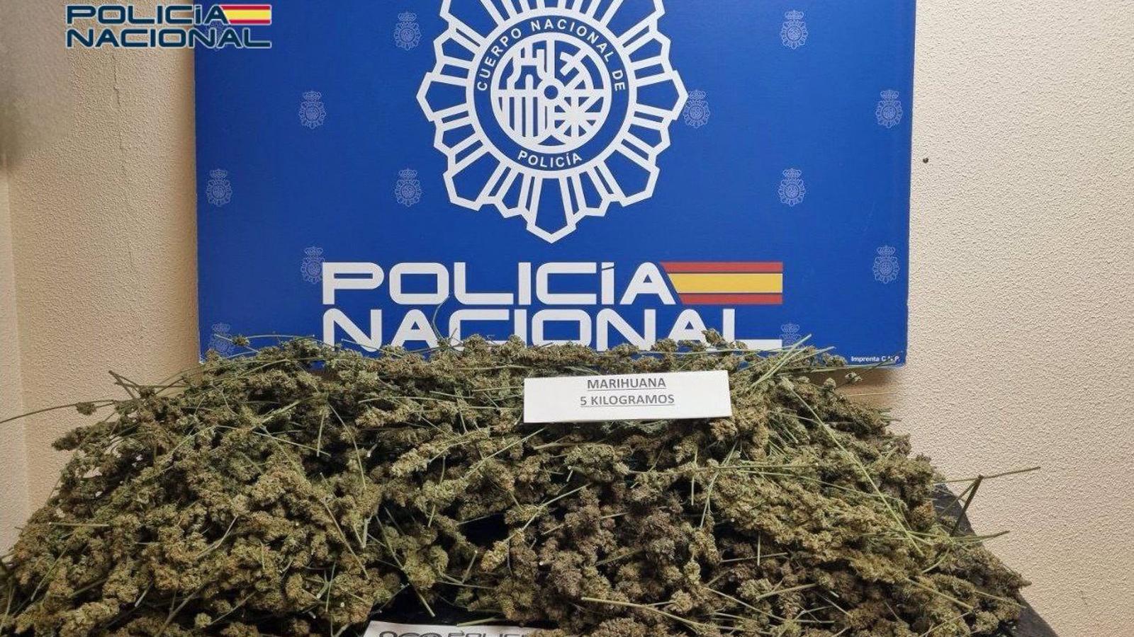 Desarticulada una plantación de marihuana en San Blas