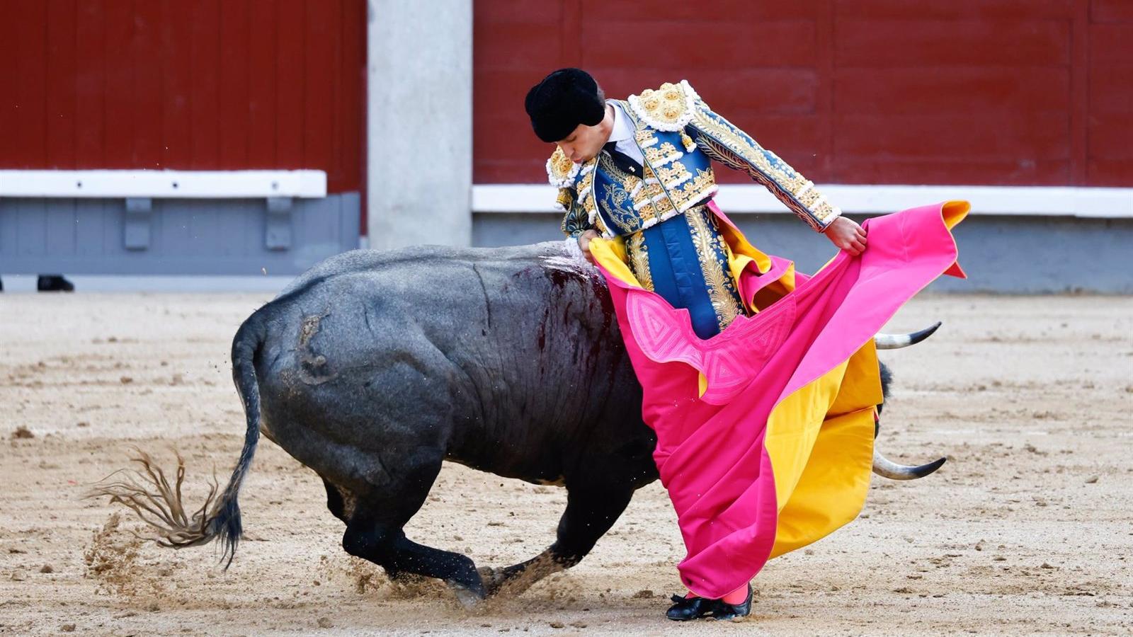 El PP de Madrid defiende la tauromaquia como "cultura, economía y medioambiente"