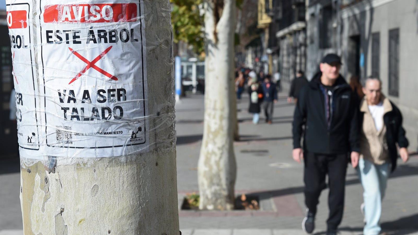 La Comunidad de Madrid justifica la tala de árboles en la ampliación de la Línea 11 del Metro