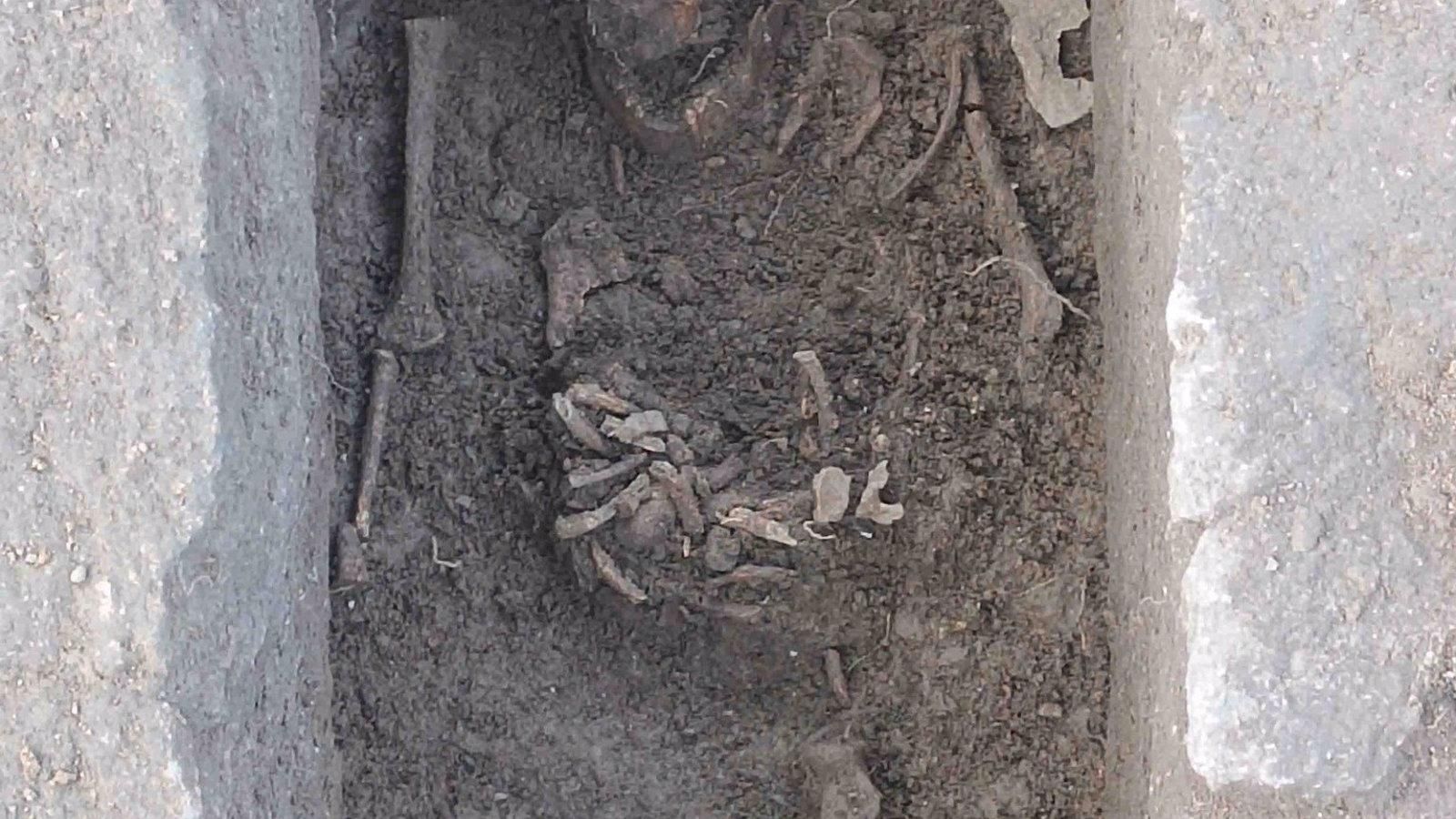 El MARPA de Alcalá de Henares la historia de la iglesia visigoda de El Rebollar en El Boalo