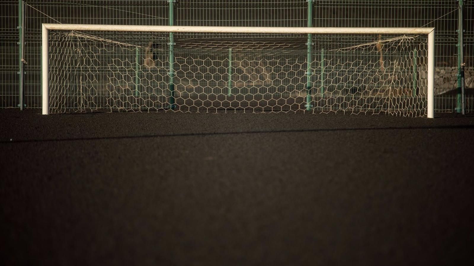 La Comunidad de Madrid alcanza el 13,8% de las licencias deportivas en España