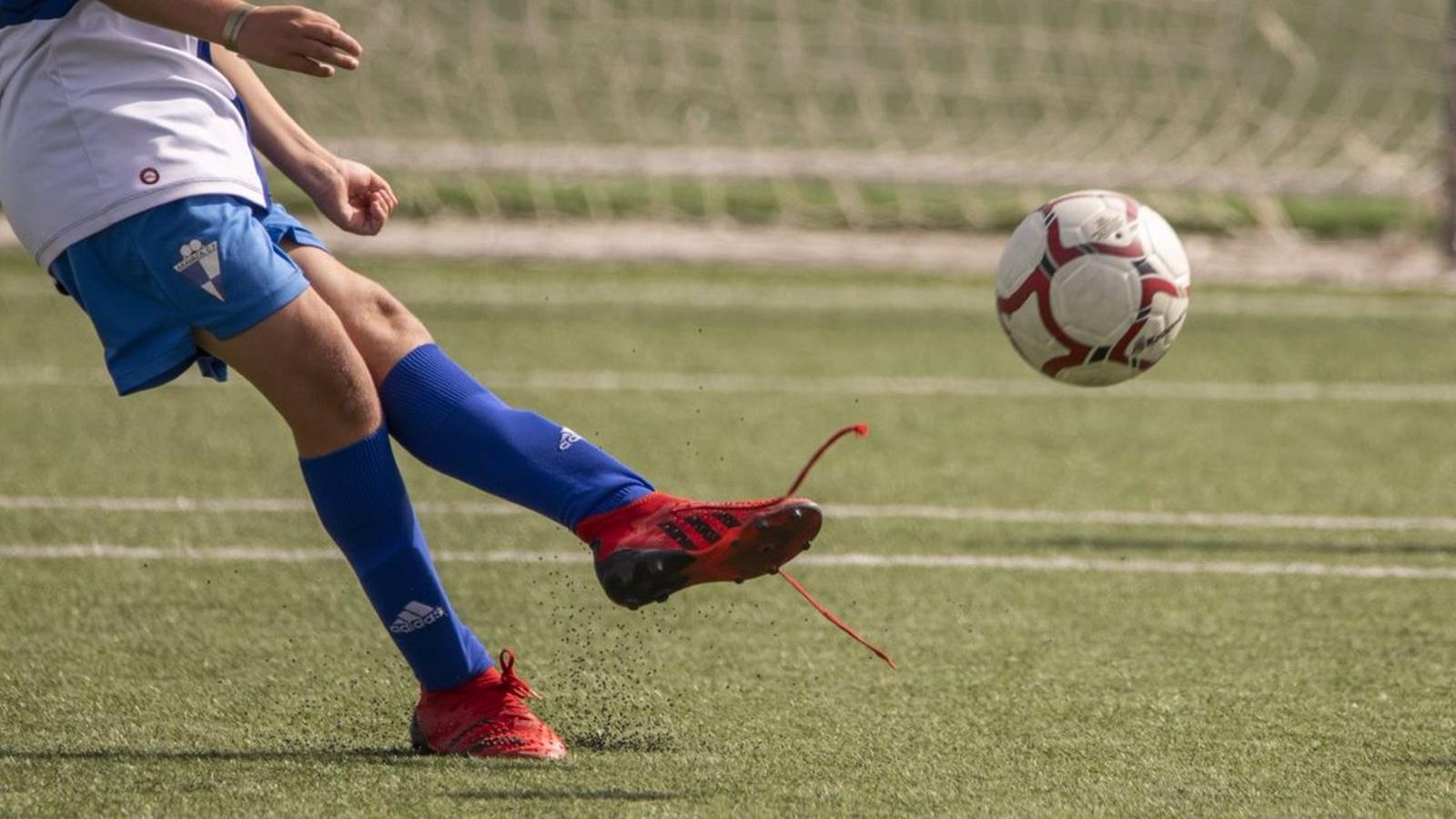 Estas son las actividades del fin de semana en Las Rozas