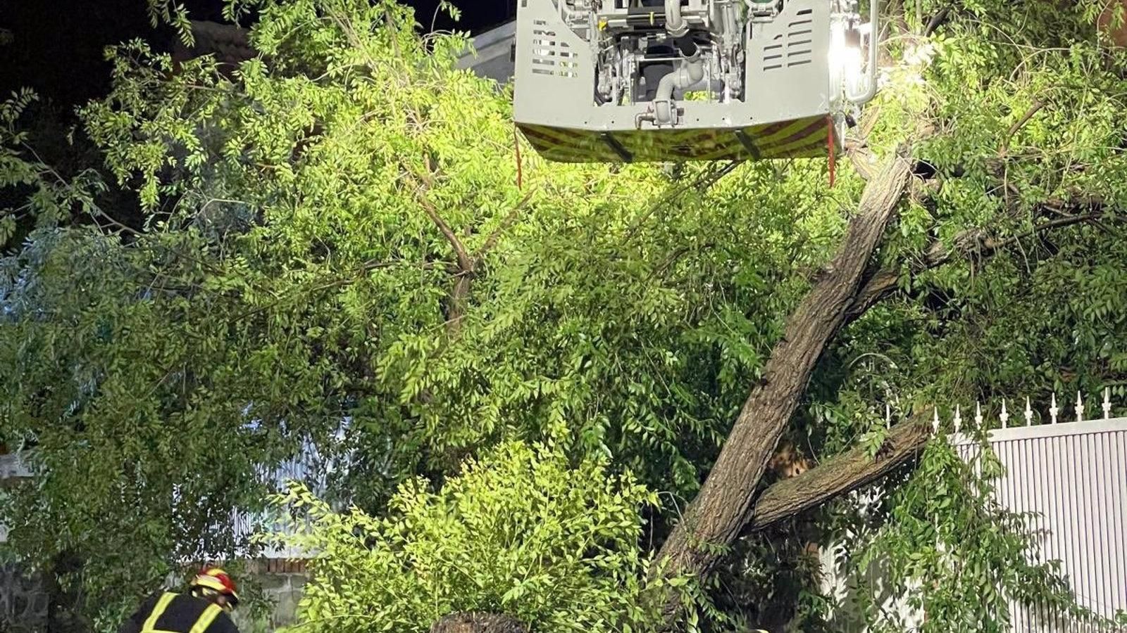 Varias intervenciones de los bomberos de la región por la fuerte tormenta en Madrid