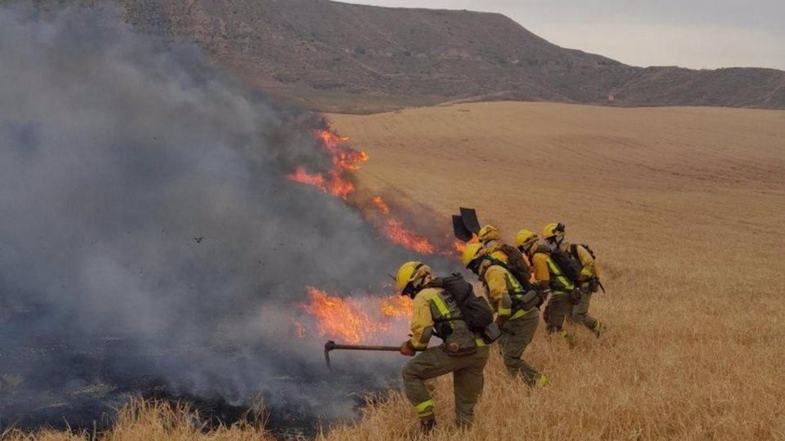 Controlado el incendio forestal en el Cerro del Viso