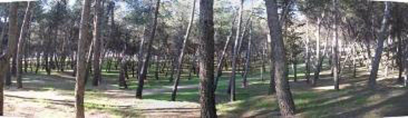 Los vecinos de La Elipa defienden el Pinar ante el riesgo de transformación