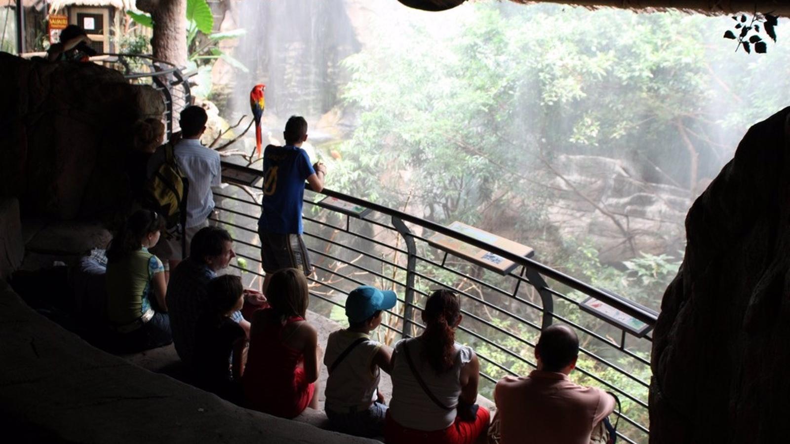  Descuentos para torrejoneros en los parques temáticos