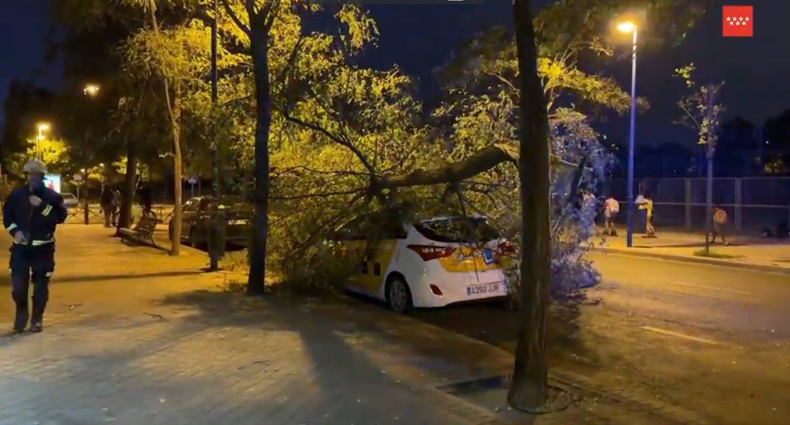 Emergencias 112 Madrid gestiona 323 incidencias por fuertes vientos en la región