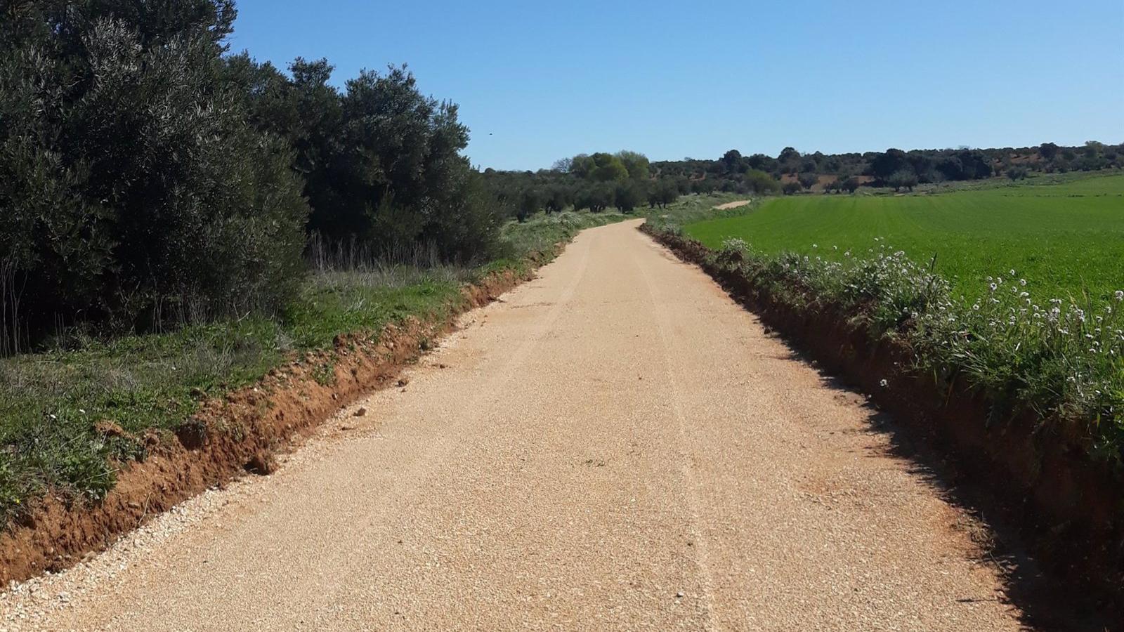 El Gobierno regional repara 88 kilómetros de caminos rurales en 17 municipios