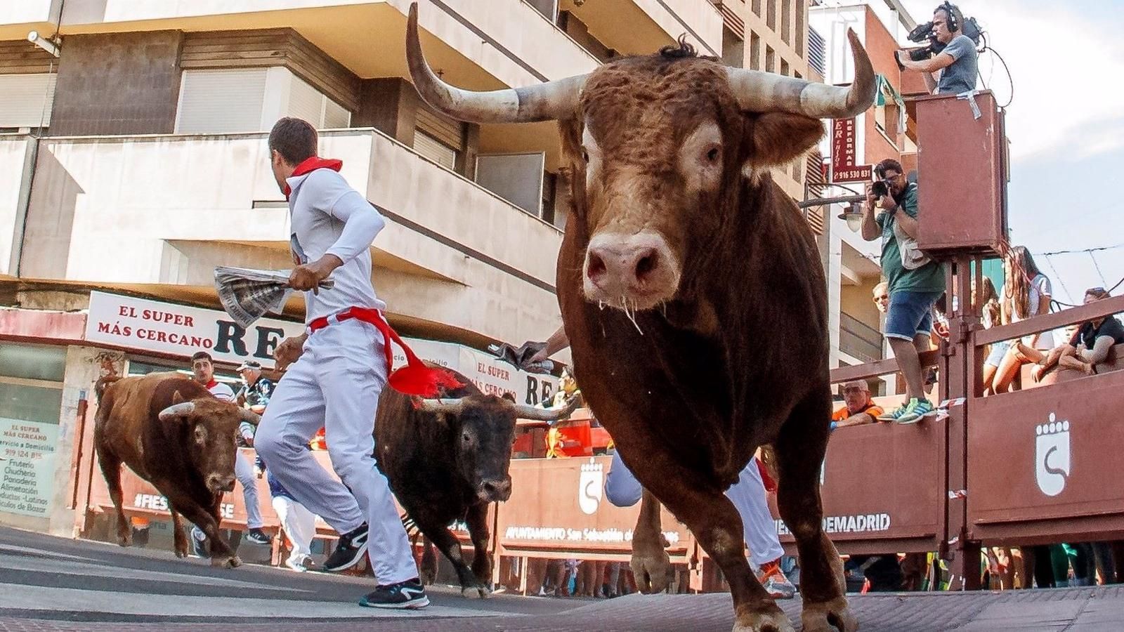 Diez heridos en el tercer encierro de las Fiestas de Sebastián de los Reyes