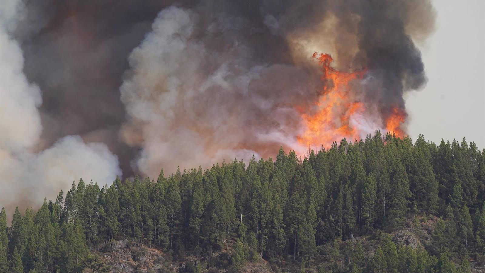 El fuego ha quemado en España un 45,2% menos de hectáreas que la media de los últimos diez años