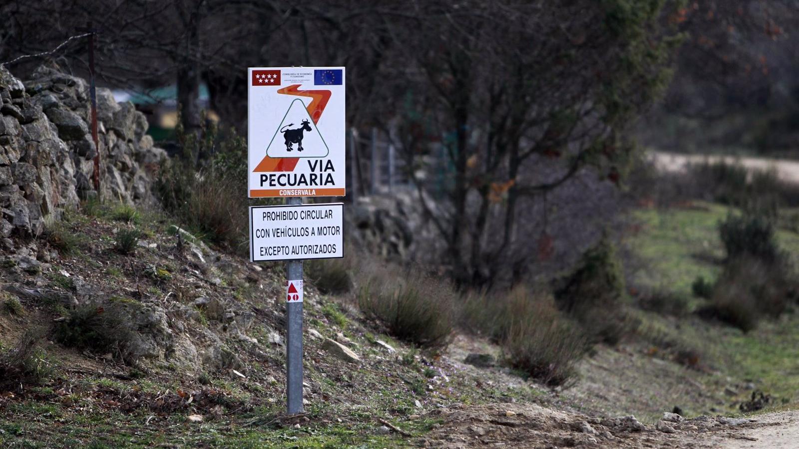 El Cordel Segoviano entre Galapagar y Villanueva mejora con una inversión de 1,3 millones