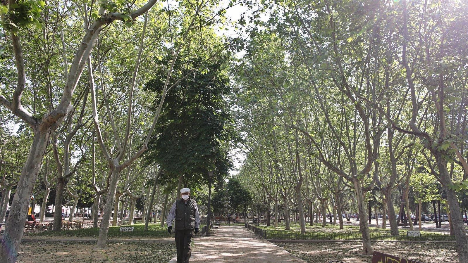 La policía investiga un apuñalamiento entre bandas por encargo en el parque Calero de Ciudad Lineal