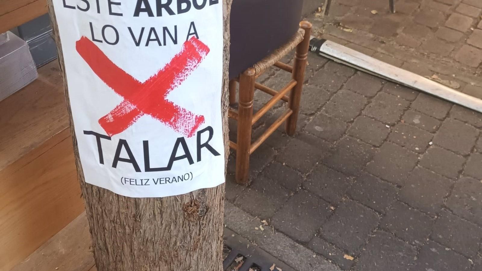 Carabante desmiente la tala en Santa Ana y acusa a la izquierda de manipulación política