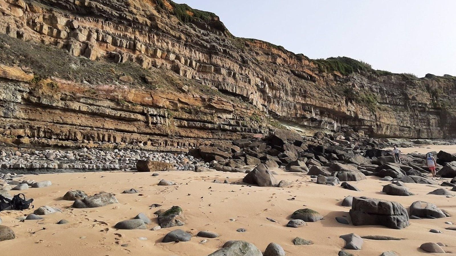 Así eran las flores hace 123 millones de años