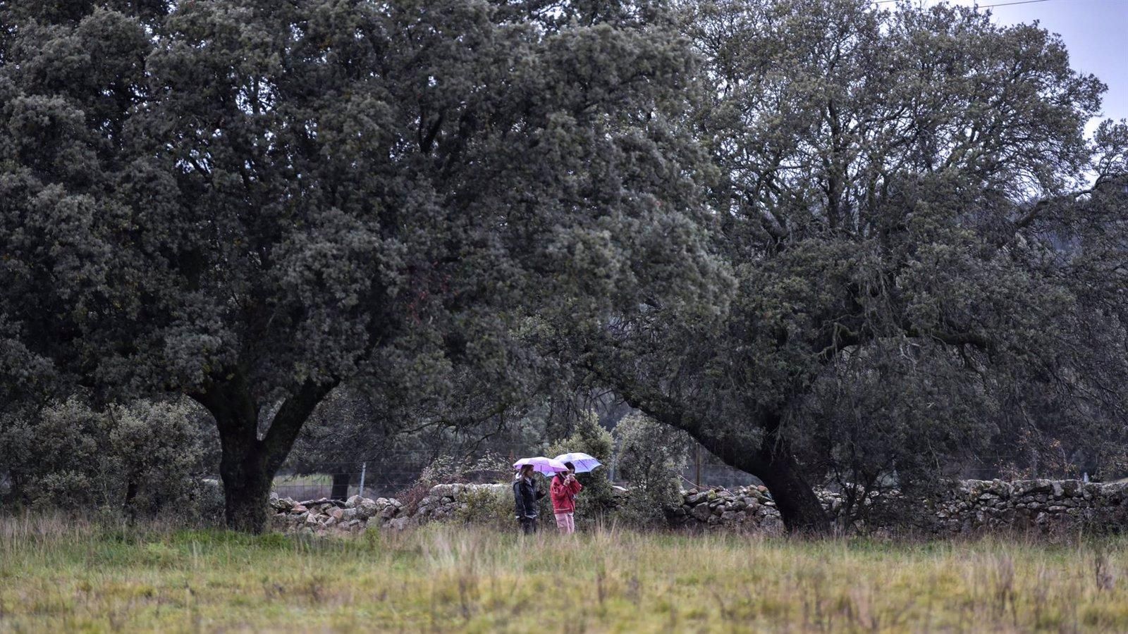 Siete nuevos negocios hosteleros de pequeños municipios se interesan en las ayudas regionales para comercios