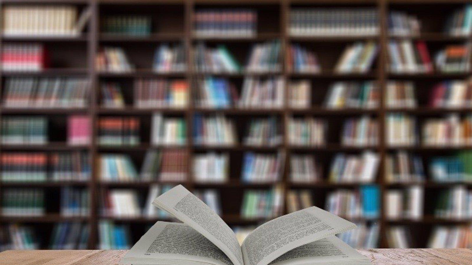 La biblioteca Miguel Hernández recibe el premio Bibliodiversidad