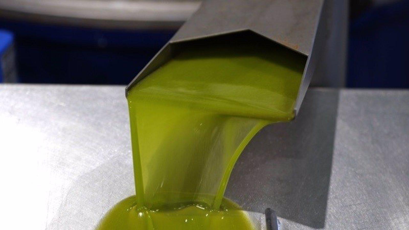 El aceite con DOP Madrid duplica su producción en su segunda campaña