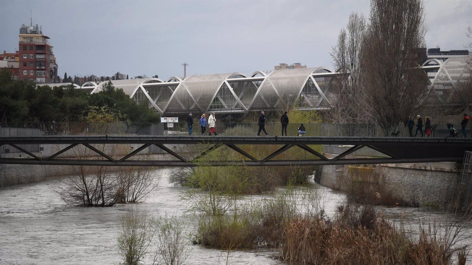 Madrid organiza una jornada familiar para proteger las aves del Manzanares