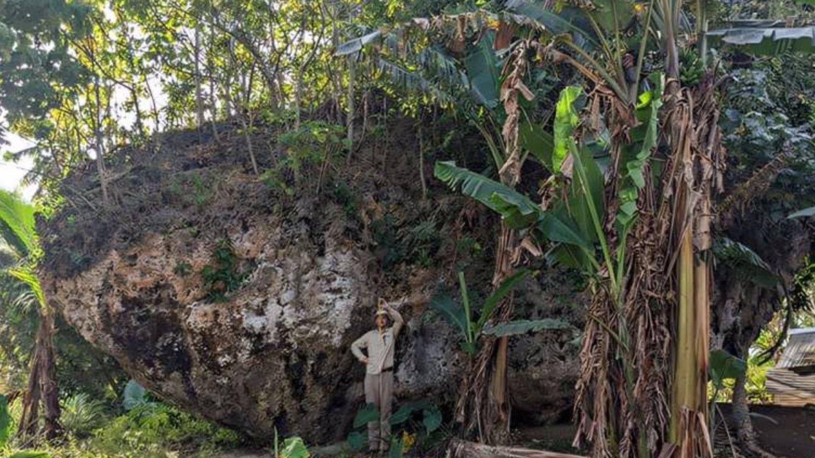 Hallan una roca de 1.200 toneladas desplazada por un tsunami