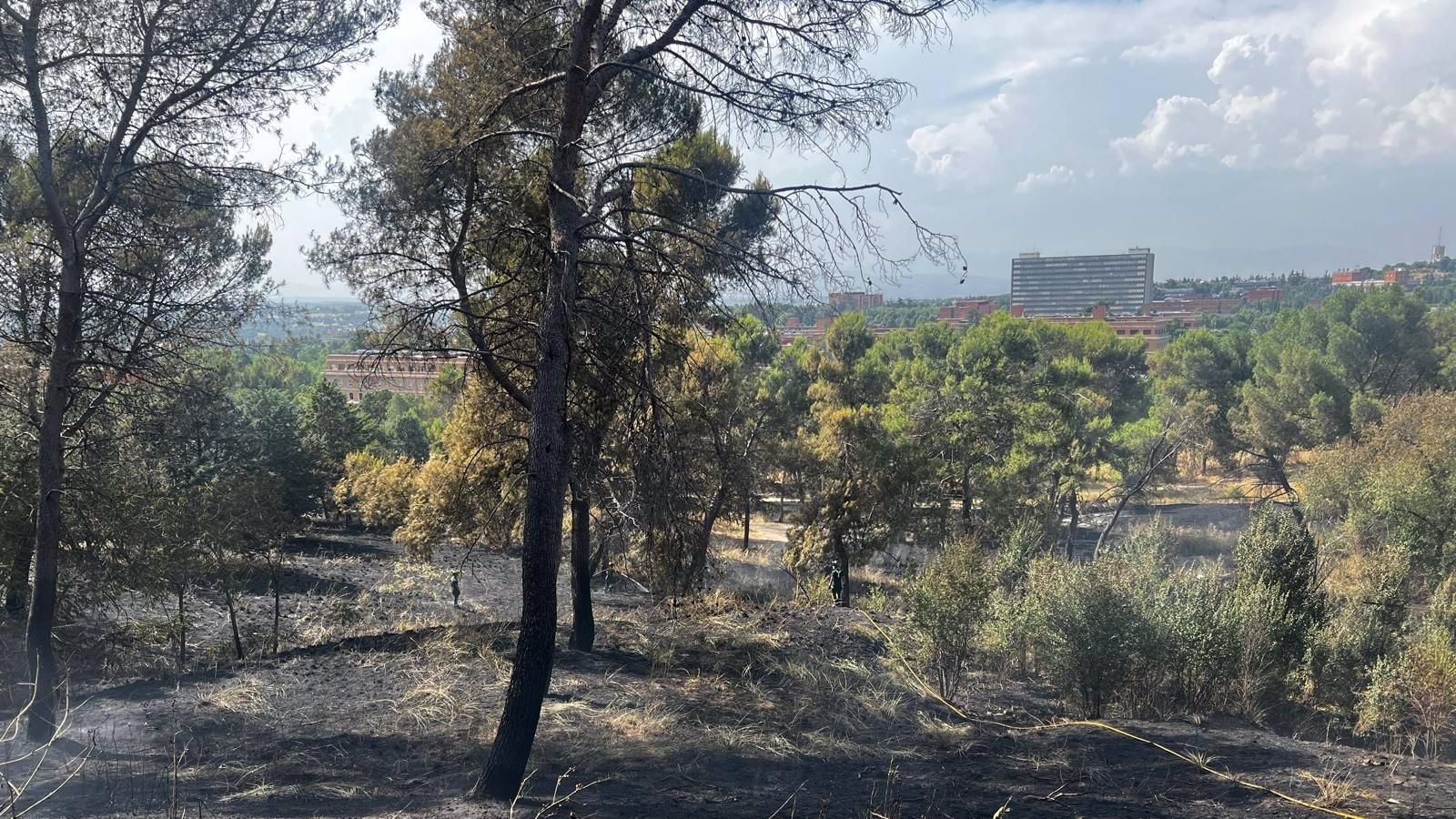 Un incendio en las cercanías del Hospital Clínico San Carlos arrasa 2,5 hectáreas de vegetación