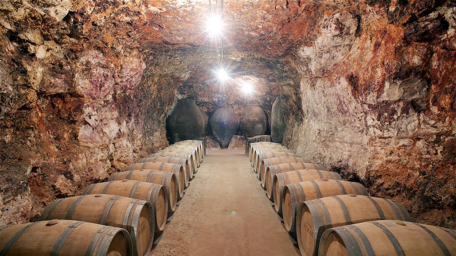 Cercanías Madrid organiza una visita guiada a tres bodegas en la Ruta del Vino el 21 de agosto
