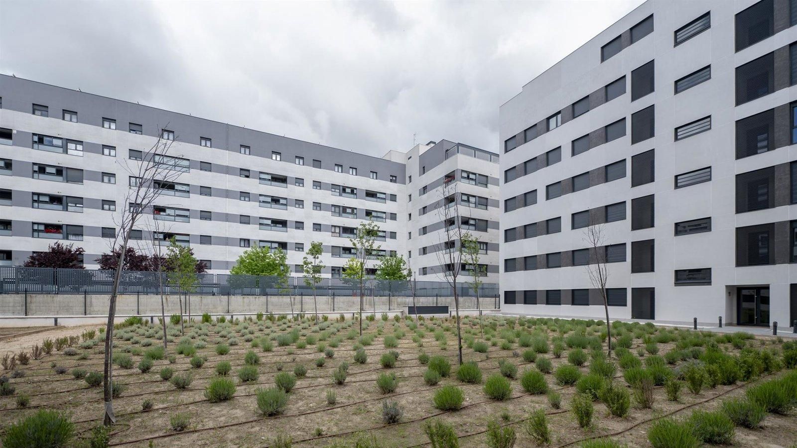 Más de 300 demandantes optaron a las 125 viviendas de alquiler asequible en Villaverde