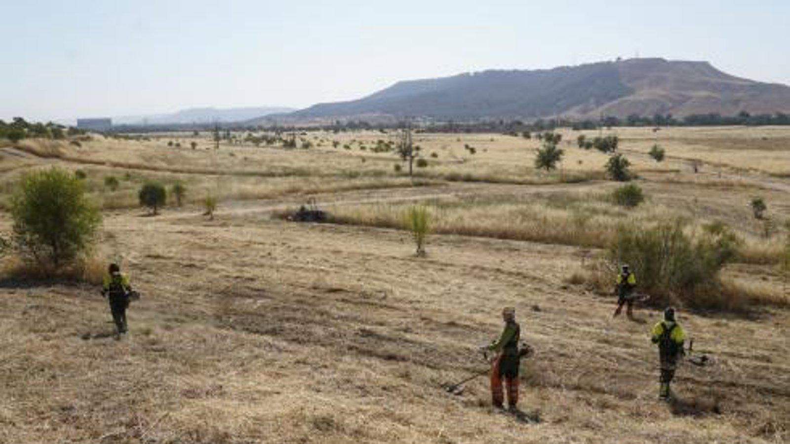 Torrejón de Ardoz ejecuta el desbroce de la finca Soto Espinillo para mejorar su mantenimiento