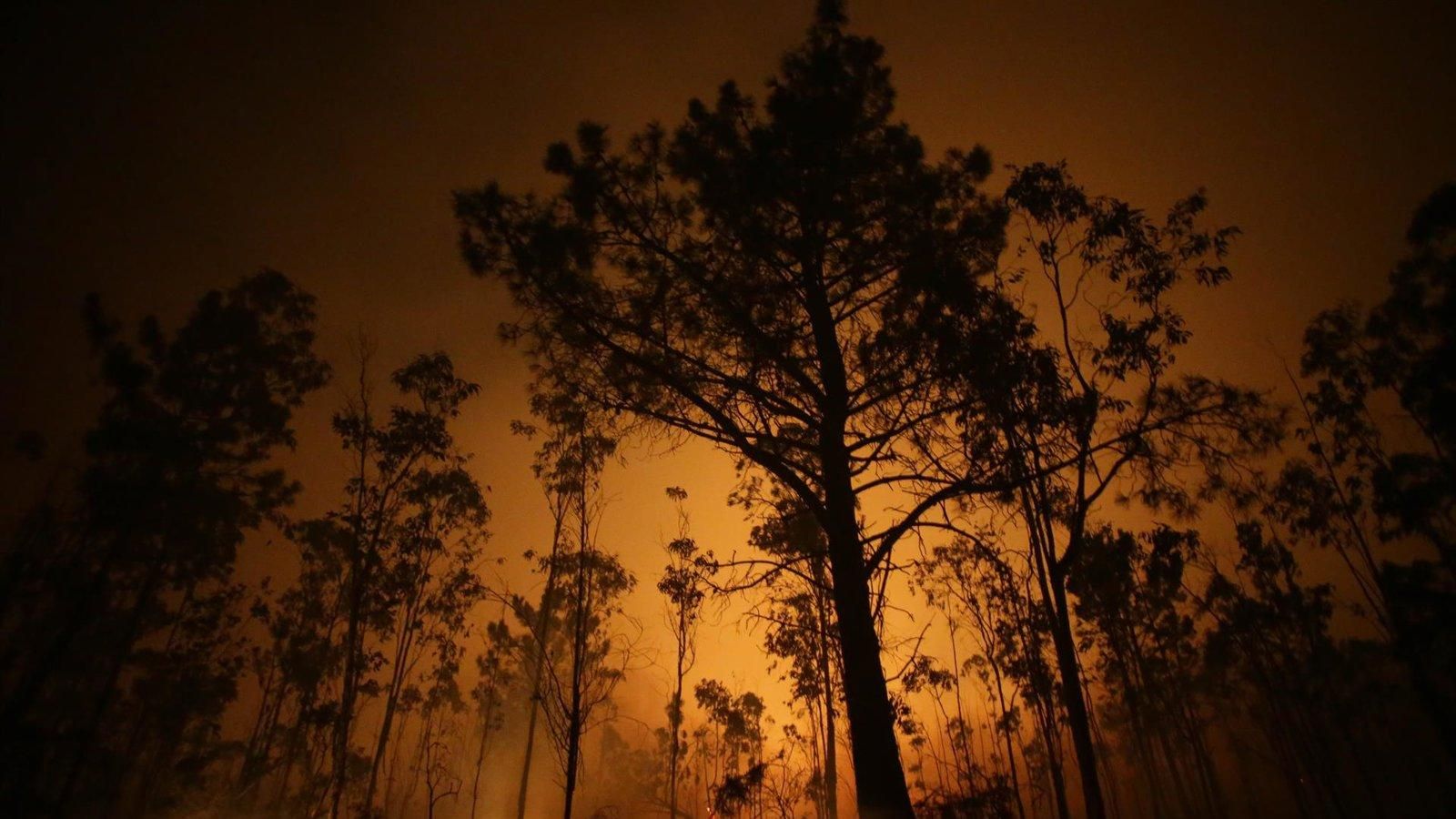 La Armada se despliega para apoyar a la UME frente a los incendios en el noroeste peninsular