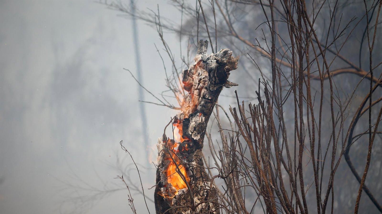 España lucha contra 40 focos activos de incendios con apoyo internacional y desalojos masivos