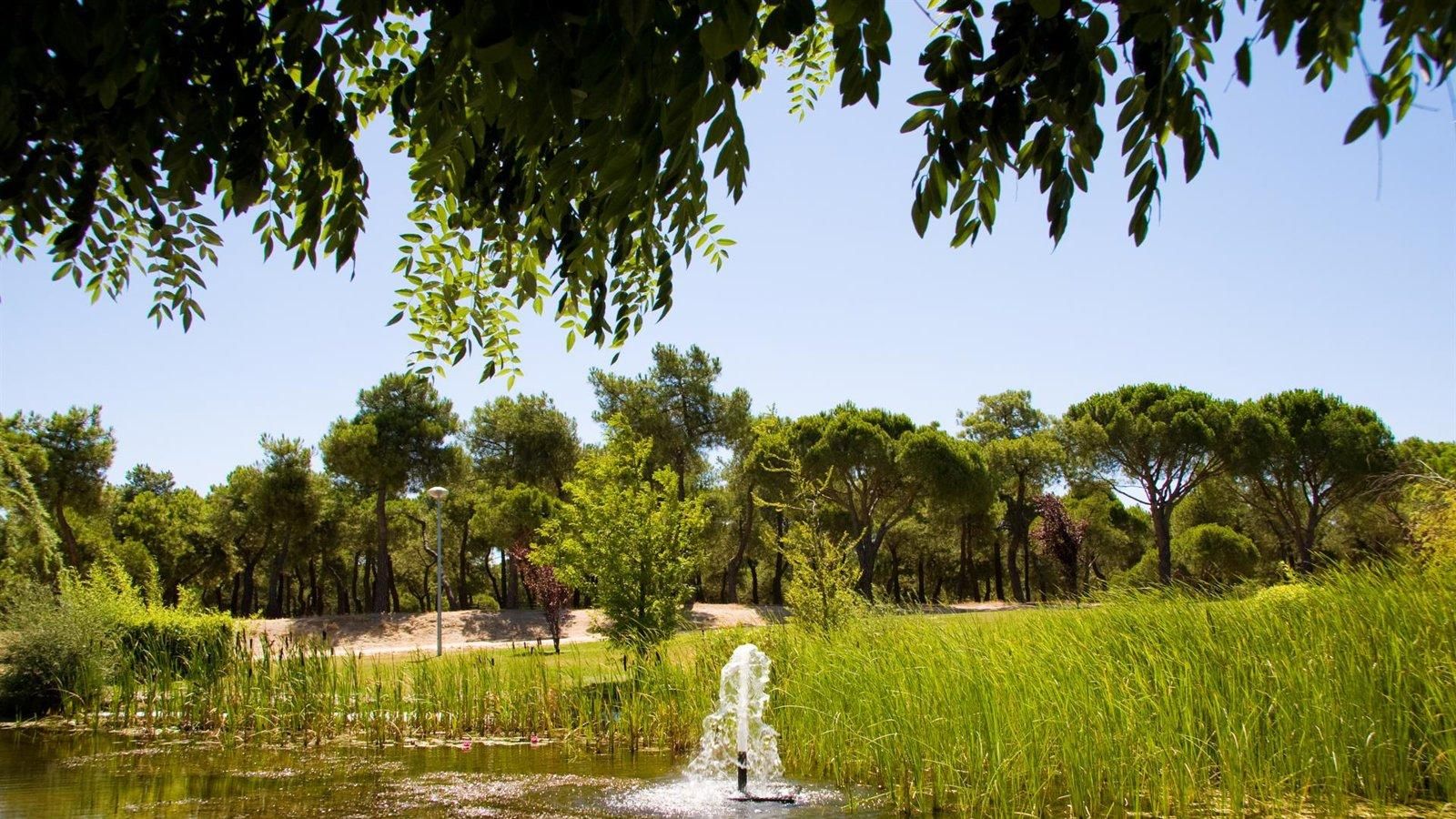 La Comunidad de Madrid ahorra más de 200 hectómetros cúbicos de agua gracias a la regeneración