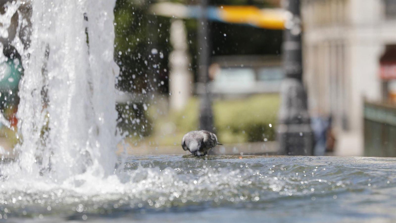 La capital reparte más de 2.200 surtidores de agua para afrontar el calor