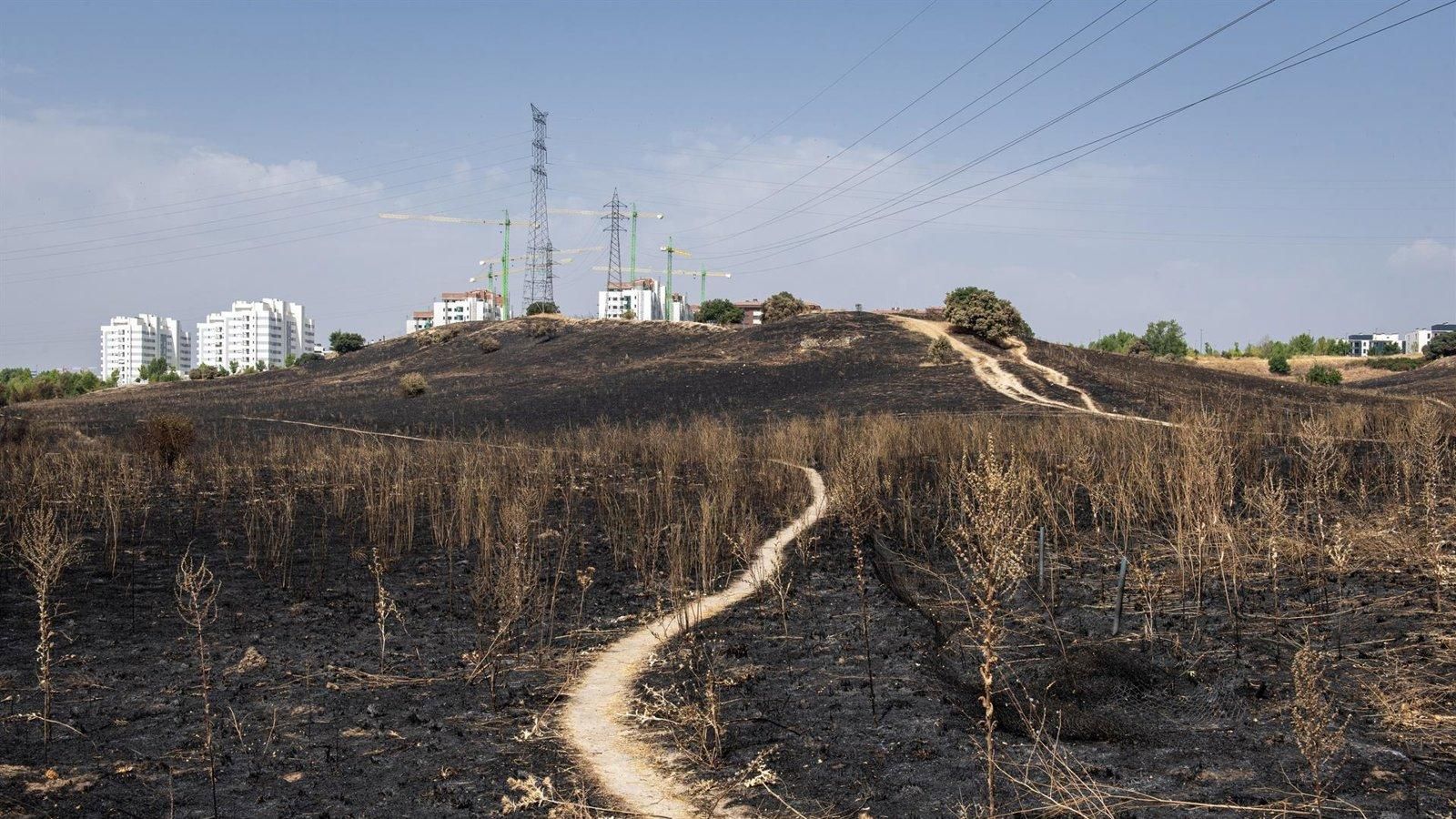 Siete detenidos y un investigado por los incendios forestales de este verano en Madrid