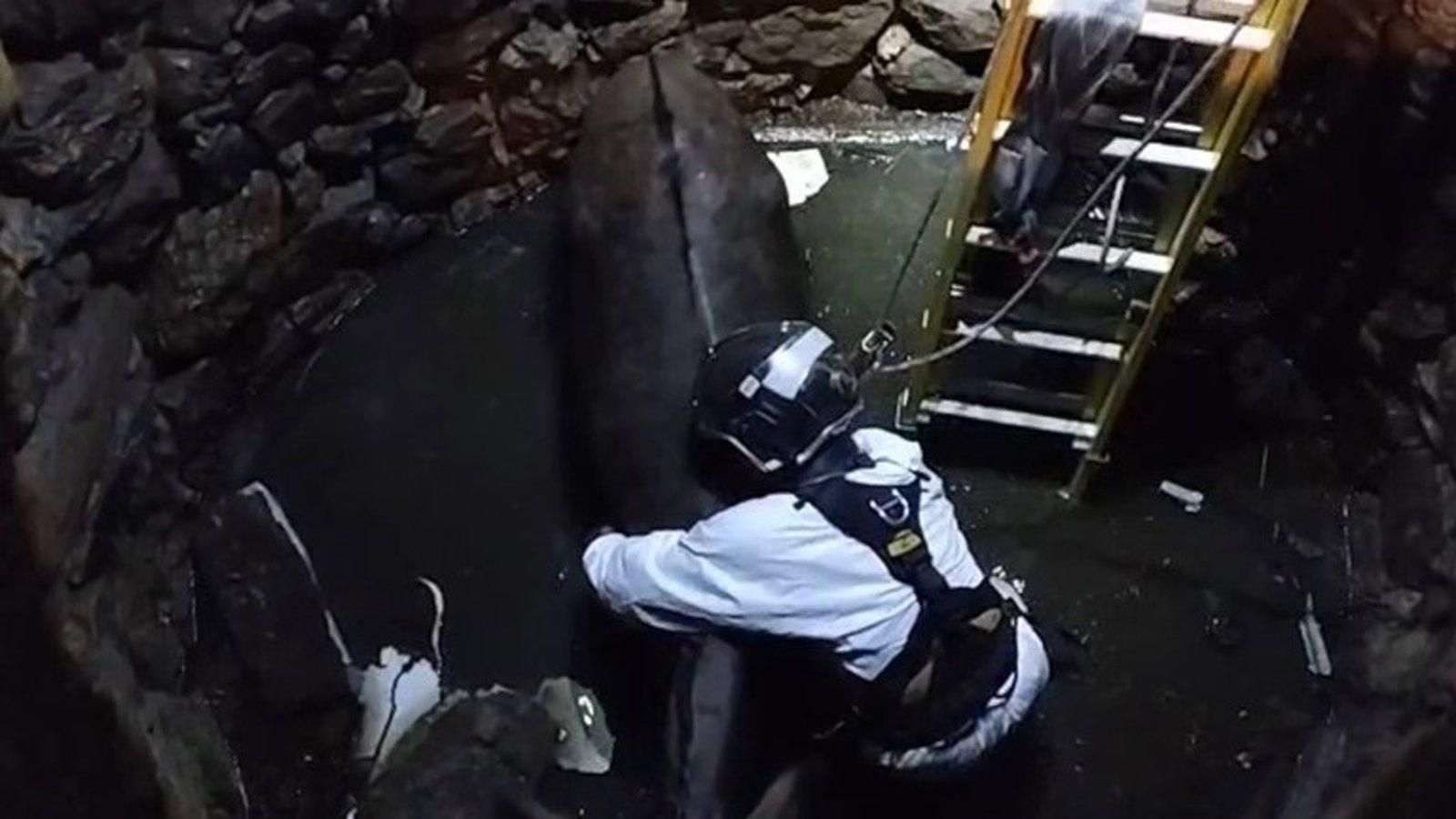 Los bomberos salvan a un burro caído en un pozo en Robledo de Chavela