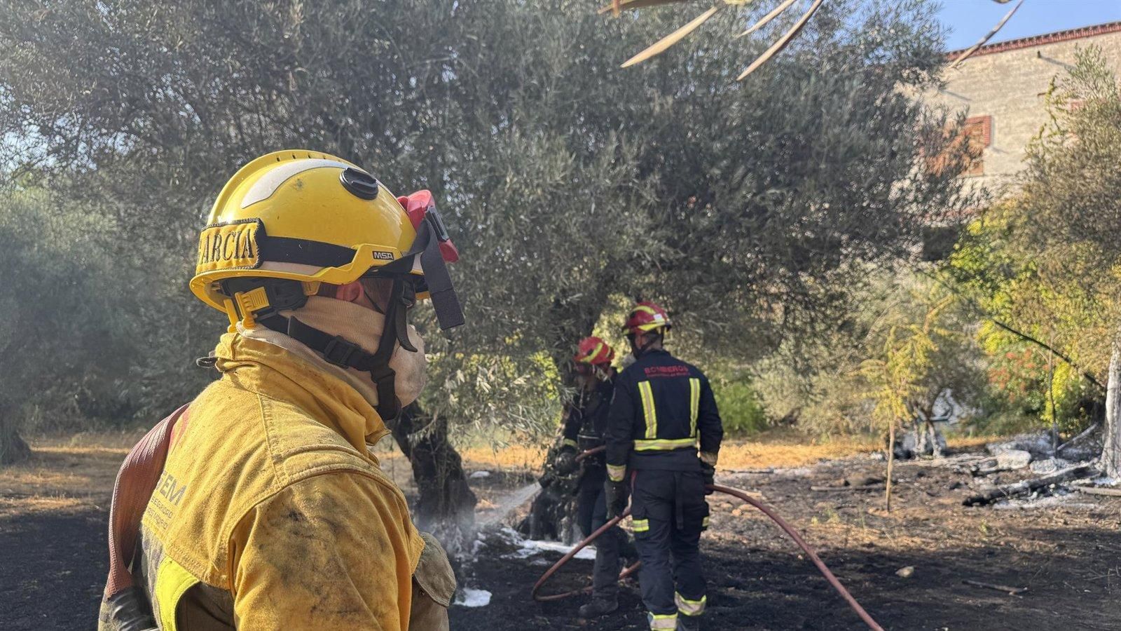 El incendio en San Martín de Valdeiglesias queda controlado antes de alcanzar una zona industrial