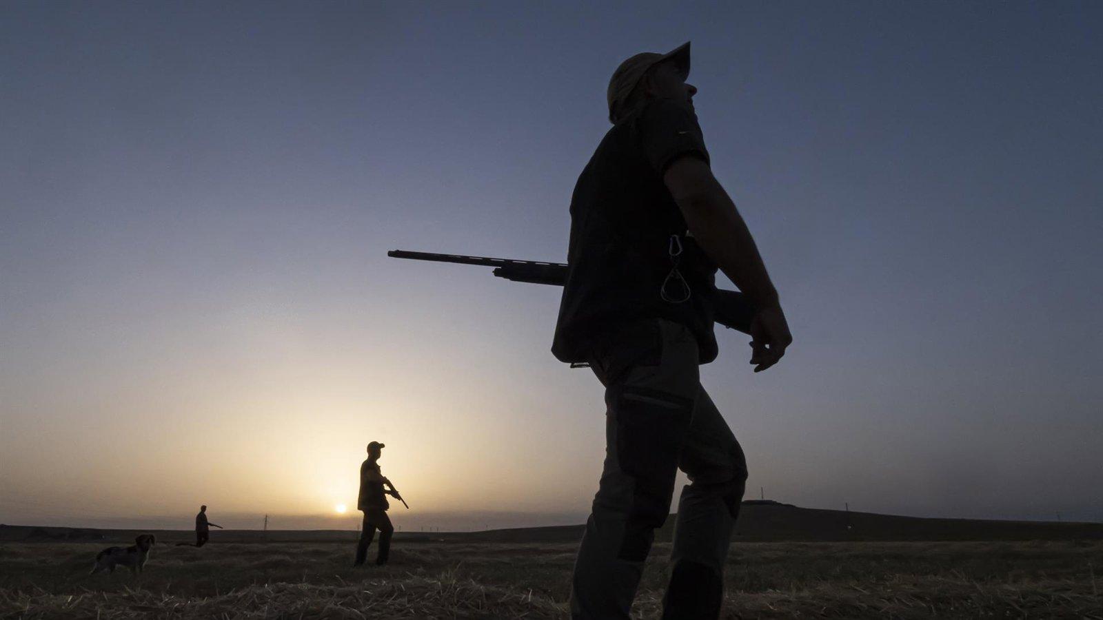 Condenado por abatir un corzo fuera de los límites de una montería autorizada en Valdemaqueda