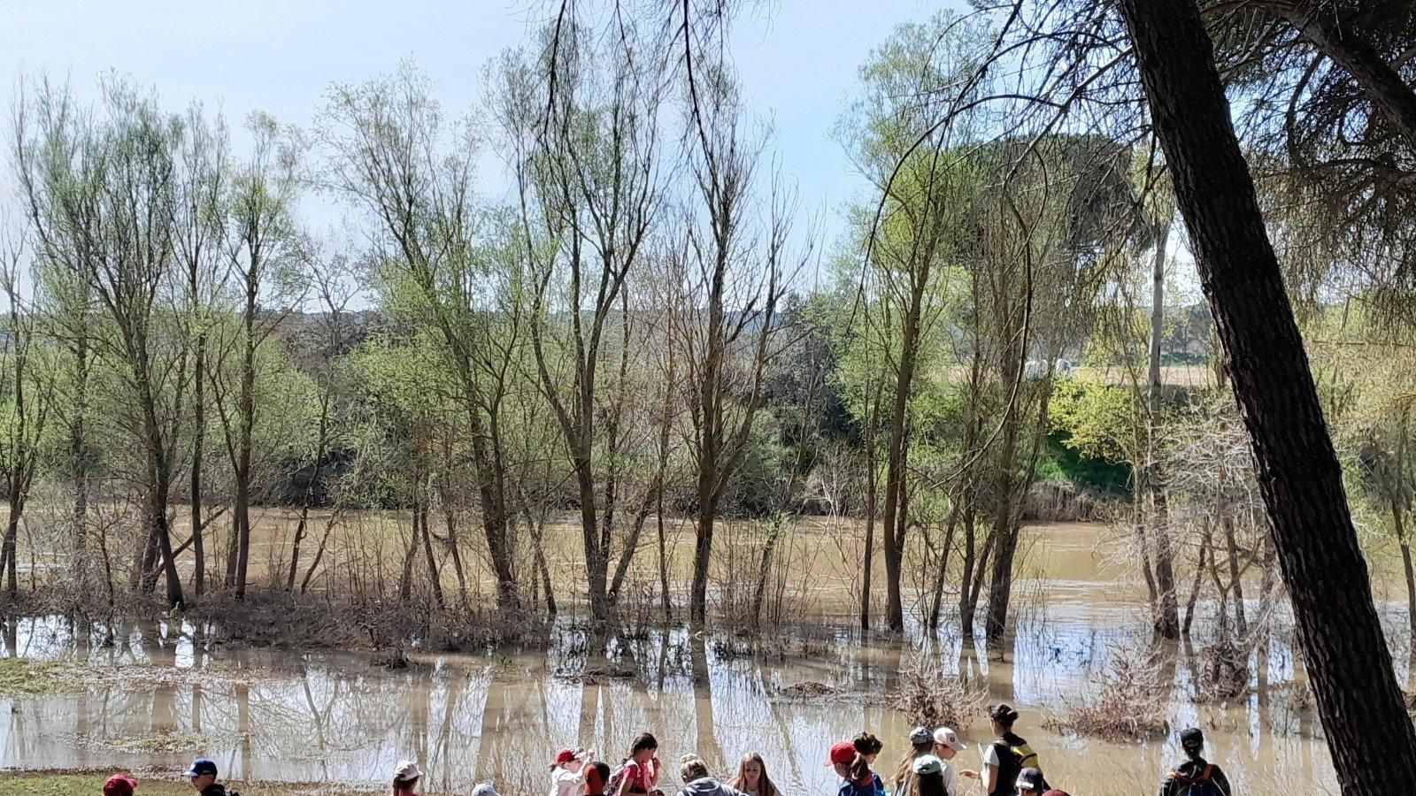 Polvoranca y Bosquesur recibirán más recursos para educación y conservación