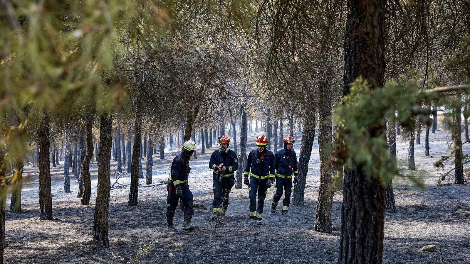 Extinguido un incendio de 16 hectáreas entre Estremera y Guadalajara