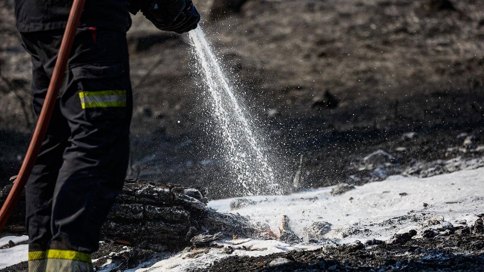 Un incendio en la Cañada Real quema dos hectáreas de vegetación