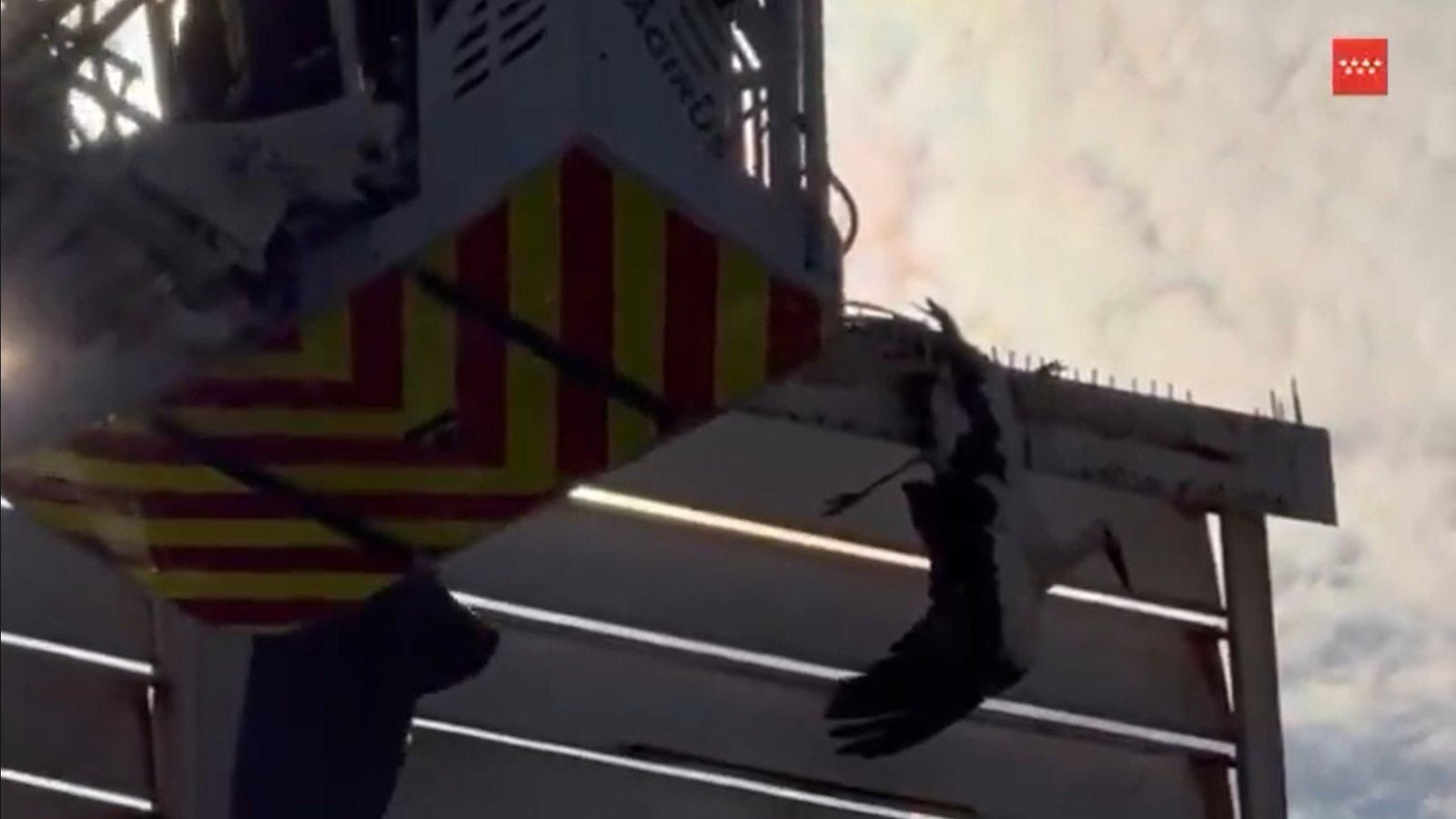 Bomberos salvan a una cigüeña atrapada en un cartel en San Martín de la Vega